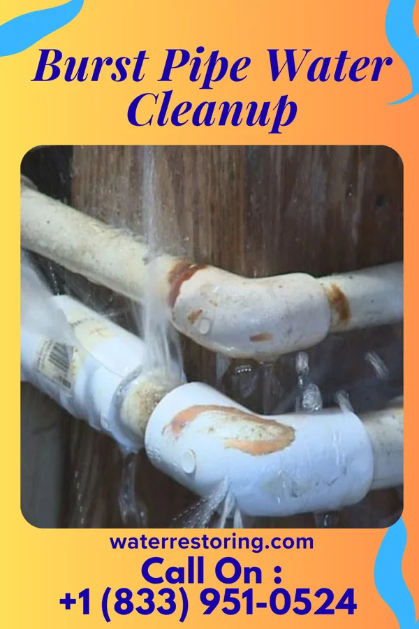 Burst Pipe Water Cleanup in Lake Lakengren, OH