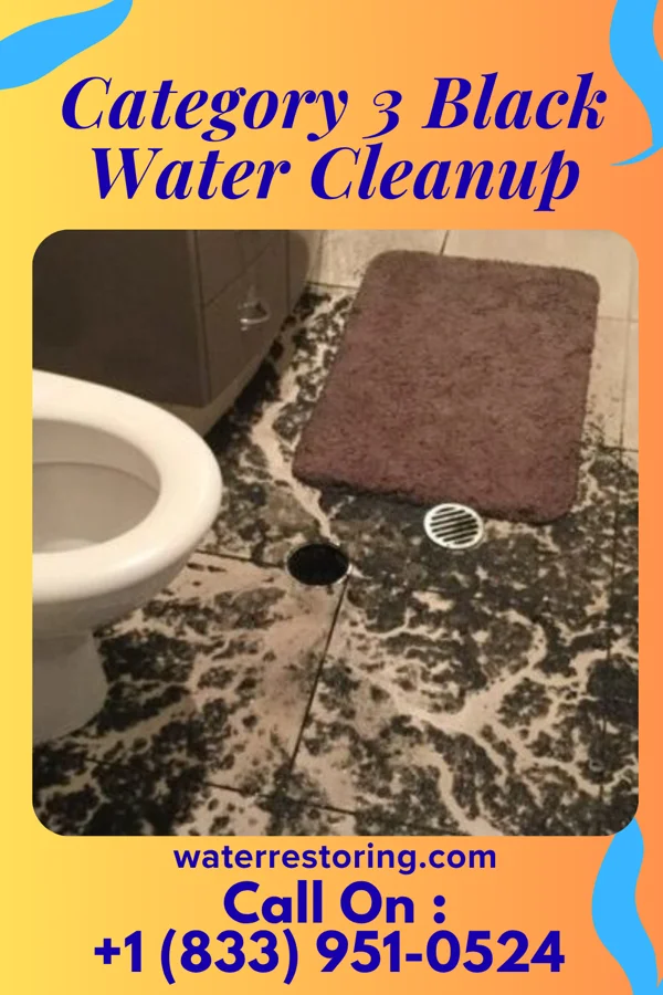 Category 3 Black Water Cleanup in Lake Lakengren, OH