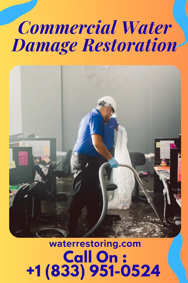 Commercial Water Damage Restoration in Lake Lakengren, OH