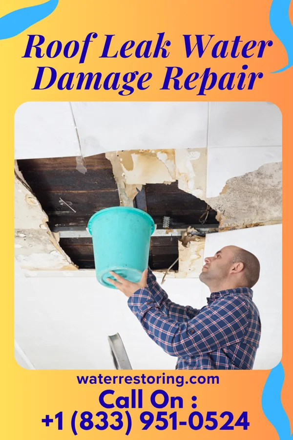 Roof Leak Water Damage Repair in Lake Lakengren, OH