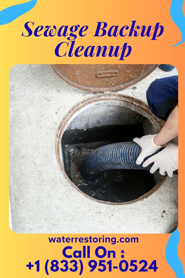 Sewage Backup Cleanup in Lake Lakengren, OH