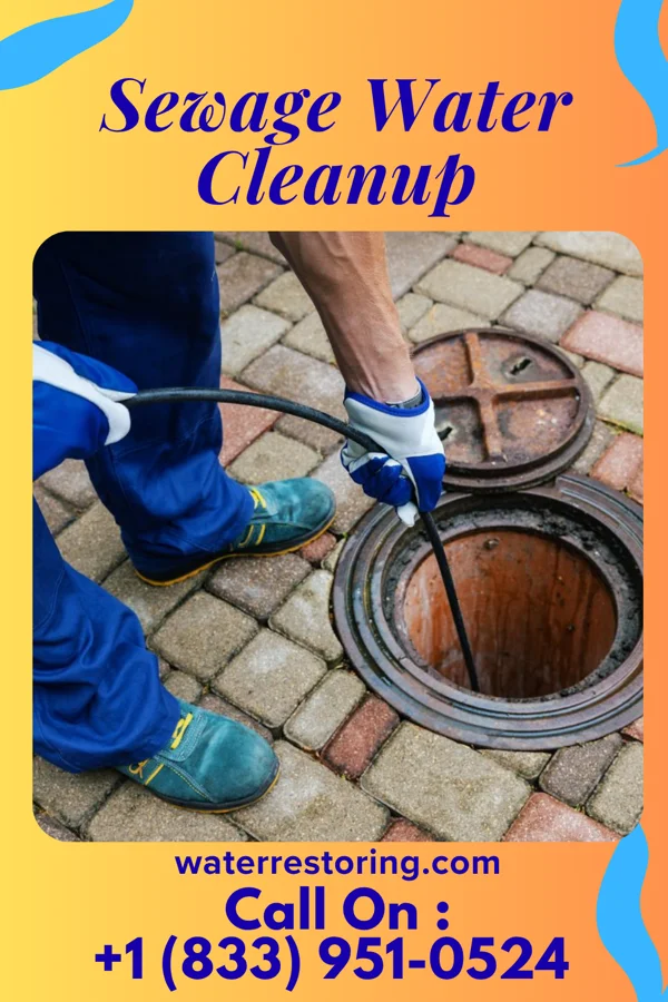 Sewage Water Cleanup in Lake Lakengren, OH