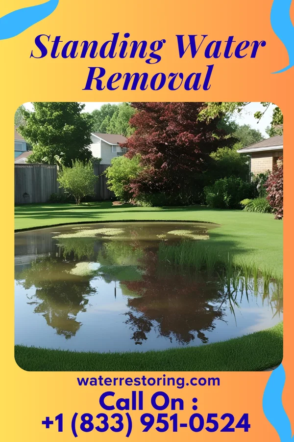 Standing Water Removal in Lake Lakengren, OH